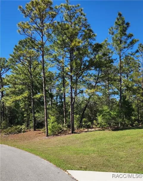 2747 W Gaspar Dr, Dunnellon, FL 34433
