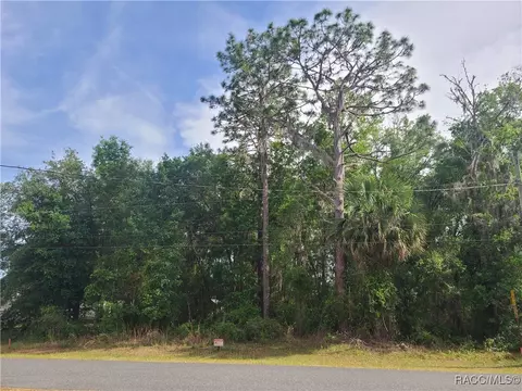 tbd SE 195th Ln, Dunnellon, FL 34431