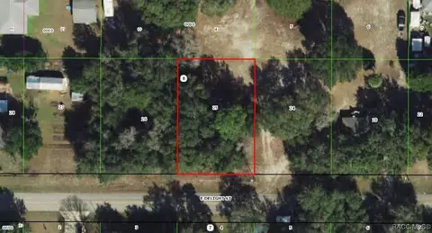 3653 E Delight St, Hernando, FL 34442