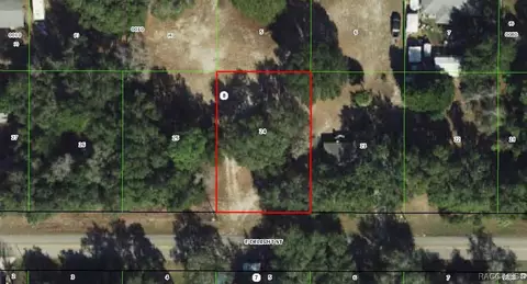 3669 E Delight St, Hernando, FL 34442