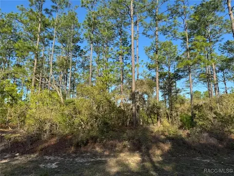 6638 N Harcross Ave, Citrus Springs, FL 34433