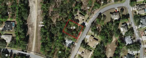 6 Black Willow Dr, Homosassa, FL 34446