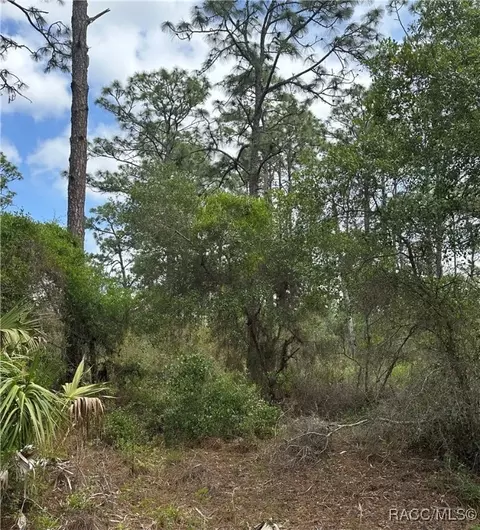 11647 W Cockscomb Dr, Crystal River, FL 34428