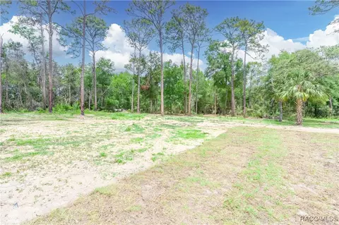 3124 N Cannes Pt, Hernando, FL 34442 photo 41