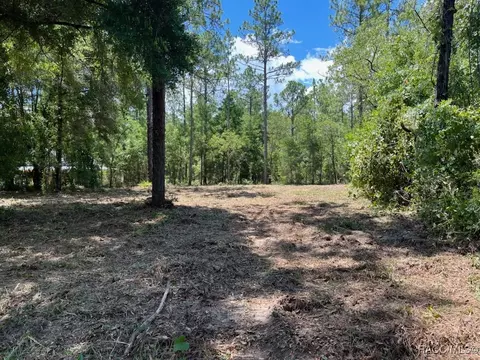 lot51 SW 57th Pl, Dunnellon, FL 34432