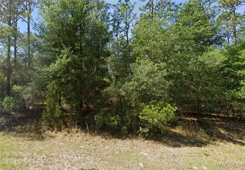 lot3 SW 102nd Street Rd, Dunnellon, FL 34481