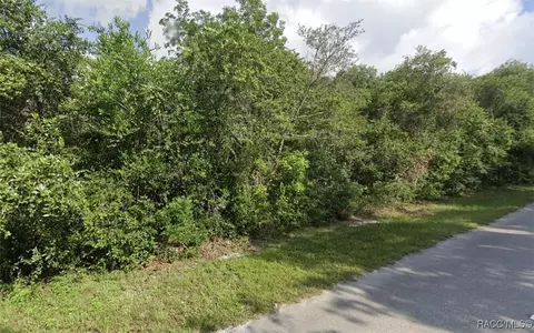 6376 N Cherrytree Ter, Hernando, FL 34442 photo 4