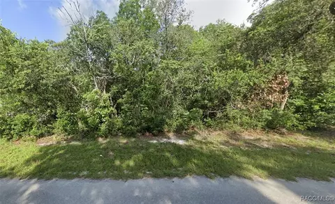 6376 N Cherrytree Ter, Hernando, FL 34442 photo 3