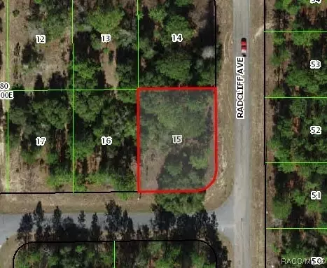 2305 W Oakland Ln, Citrus Springs, FL 34434