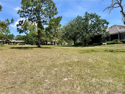 3577 N Pine Valley Loop, Lecanto, FL 34461 photo 9
