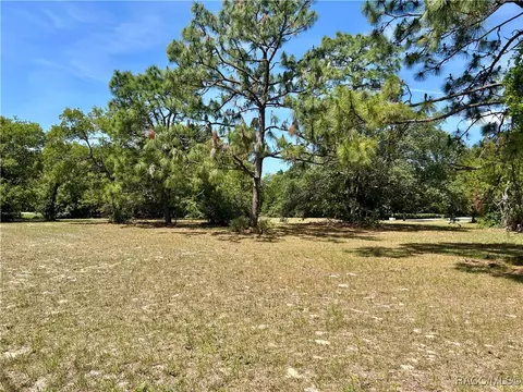 3577 N Pine Valley Loop, Lecanto, FL 34461 photo 11