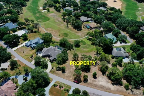 3577 N Pine Valley Loop, Lecanto, FL 34461 photo 4