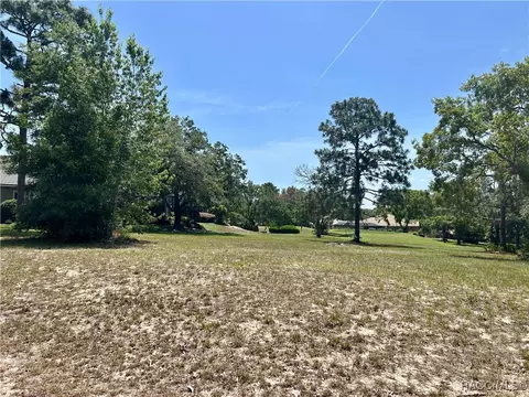 3577 N Pine Valley Loop, Lecanto, FL 34461 photo 6