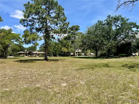 3577 N Pine Valley Loop, Lecanto, FL 34461 photo 10