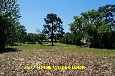 3577 N Pine Valley Loop, Lecanto, FL 34461 photo 21