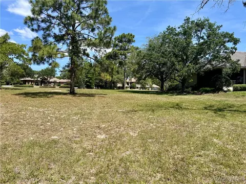 3577 N Pine Valley Loop, Lecanto, FL 34461 photo 8