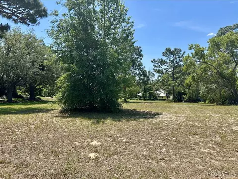 3577 N Pine Valley Loop, Lecanto, FL 34461 photo 5