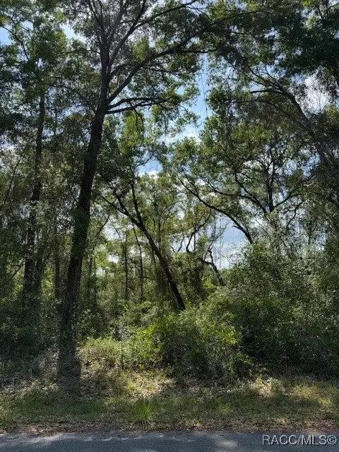 20 N Bradshaw Ter, Inverness, FL 34453