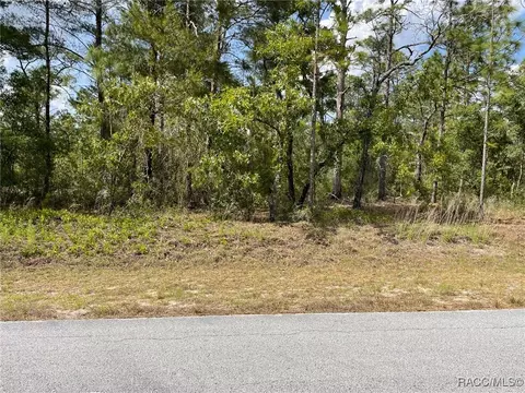 lot2930 SW Anchor Blvd, Dunnellon, FL 34431