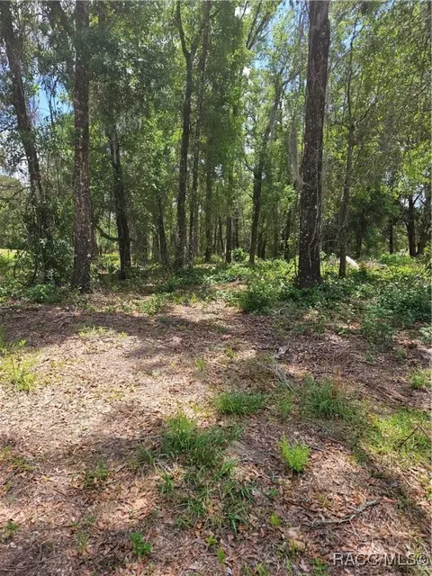 2235 W Main St, Inverness, FL 34452
