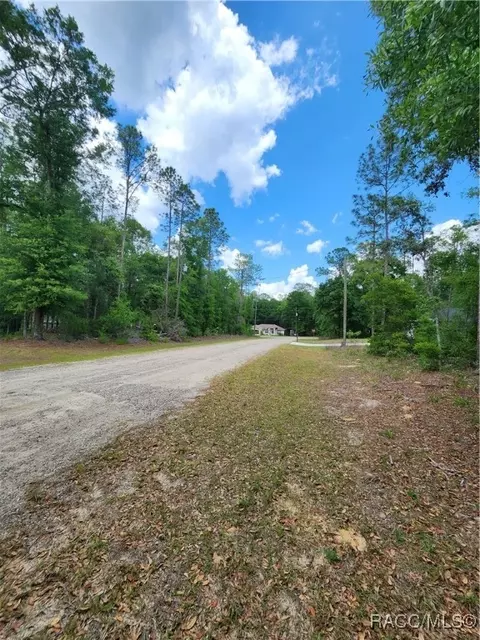 9017 N Ruby Way, Dunnellon, FL 34434 photo 3