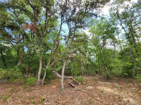 9017 N Ruby Way, Dunnellon, FL 34434
