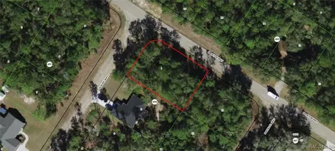 9017 N Ruby Way, Dunnellon, FL 34434 photo 5