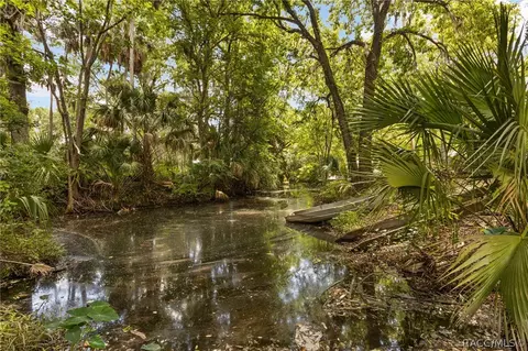 Other - 199 Mastadon Dr, Inglis, FL 34449 photo 3 of 11