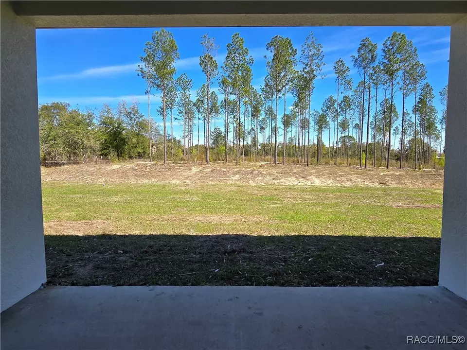 Exterior - 2645 N Annapolis Ave, Hernando, FL 34442 photo 13 of 21