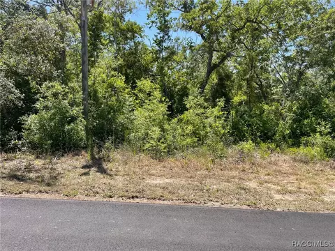 5437 W Cinnamon Ridge Dr, Lecanto, FL 34461