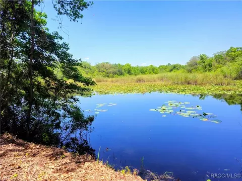 7003 E Grass Ct, Inverness, FL 34453