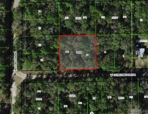7661 W Citruswood Dr, Dunnellon, FL 34433