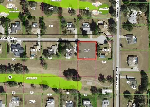800 E Dakota Ct, Hernando, FL 34442 photo 4