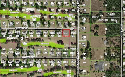 800 E Dakota Ct, Hernando, FL 34442 photo 3