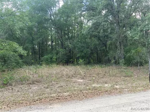 247 E Mcfaddin Pl, Citrus Springs, FL 34434