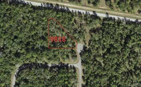 9818 N Lily Dr, Dunnellon, FL 34434