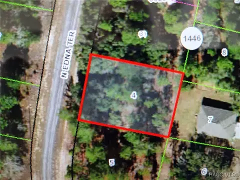 11155 N Edna Ter, Citrus Springs, FL 34433