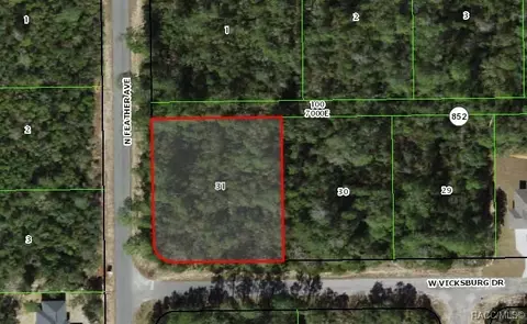 4281 W Vicksburg Dr, Citrus Springs, FL 34433