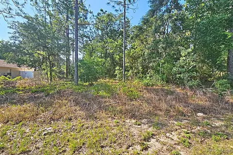 3314 W Crandon Dr, Citrus Springs, FL 34433