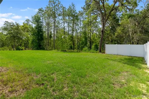 1538 E Mckinley St, Hernando, FL 34442 photo 61