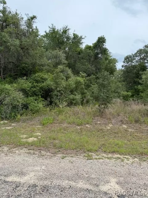7911 N Walton Ter, Citrus Springs, FL 34434