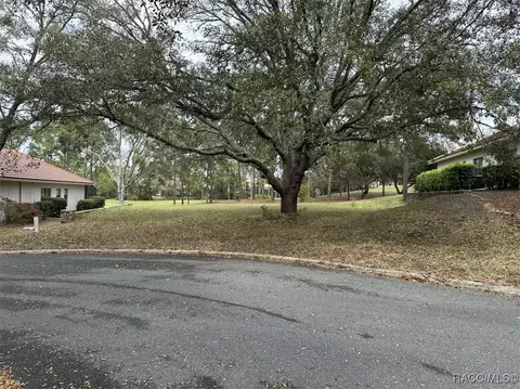 3667 W Treyburn Path, Lecanto, FL 34461