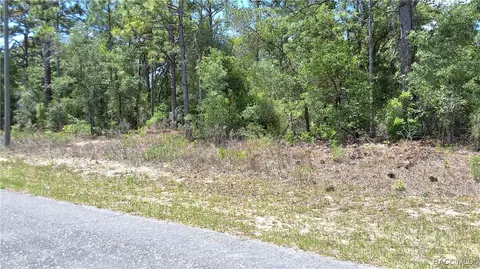 7238 N Maltese Dr, Citrus Springs, FL 34433
