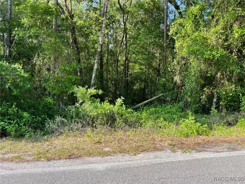 lot13 SW Nautilus Blvd, Dunnellon, FL 34431