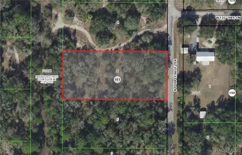 10146 N Purplesage Ter, Crystal River, FL 34428
