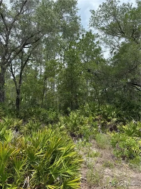 8150 N Downs Rd, Crystal River, FL 34428 photo 2