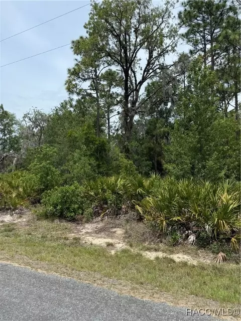 8150 N Downs Rd, Crystal River, FL 34428 photo 7