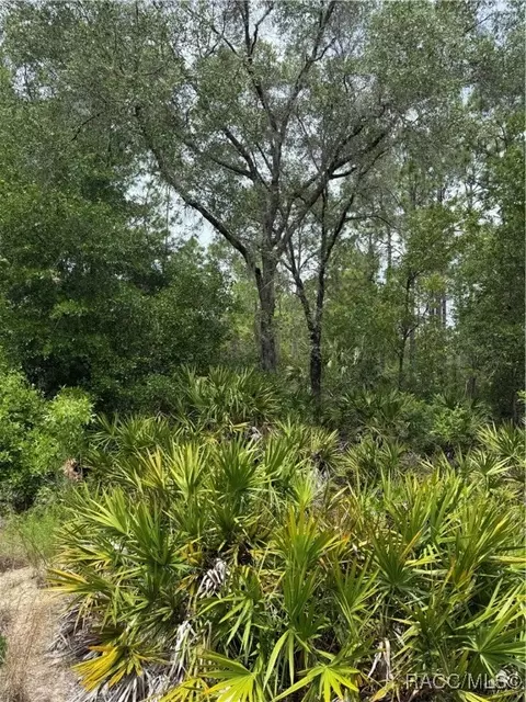 8150 N Downs Rd, Crystal River, FL 34428 photo 3