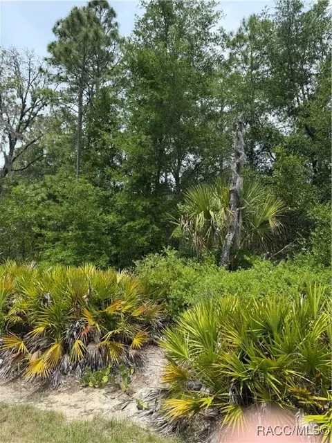 8150 N Downs Rd, Crystal River, FL 34428 photo 4