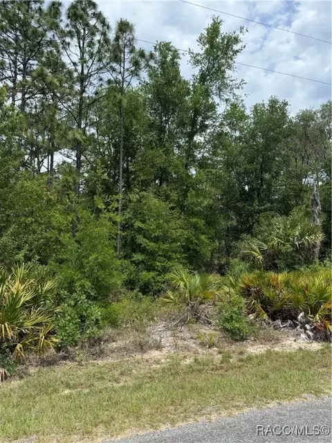 8150 N Downs Rd, Crystal River, FL 34428 photo 6
